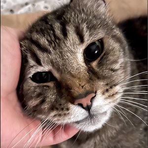 Meet your Posher, Justine